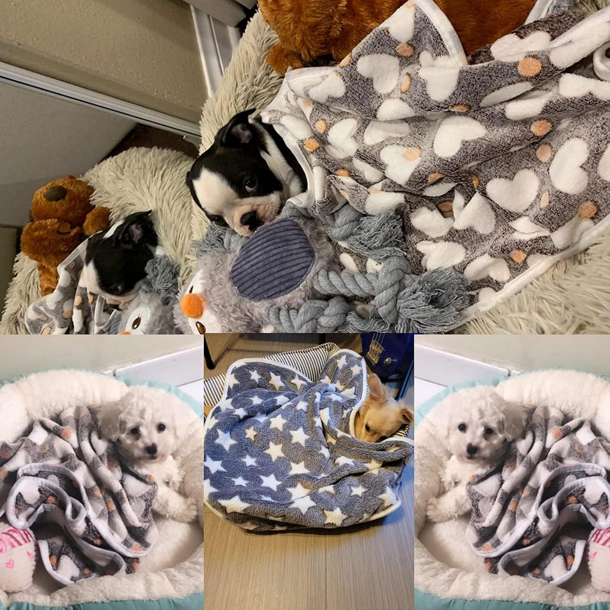 Small size pet flannel blanket spread out as a cozy floor sleep mat.