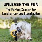 Durable rubber dog tug of war toy optimized for medium and large breeds.