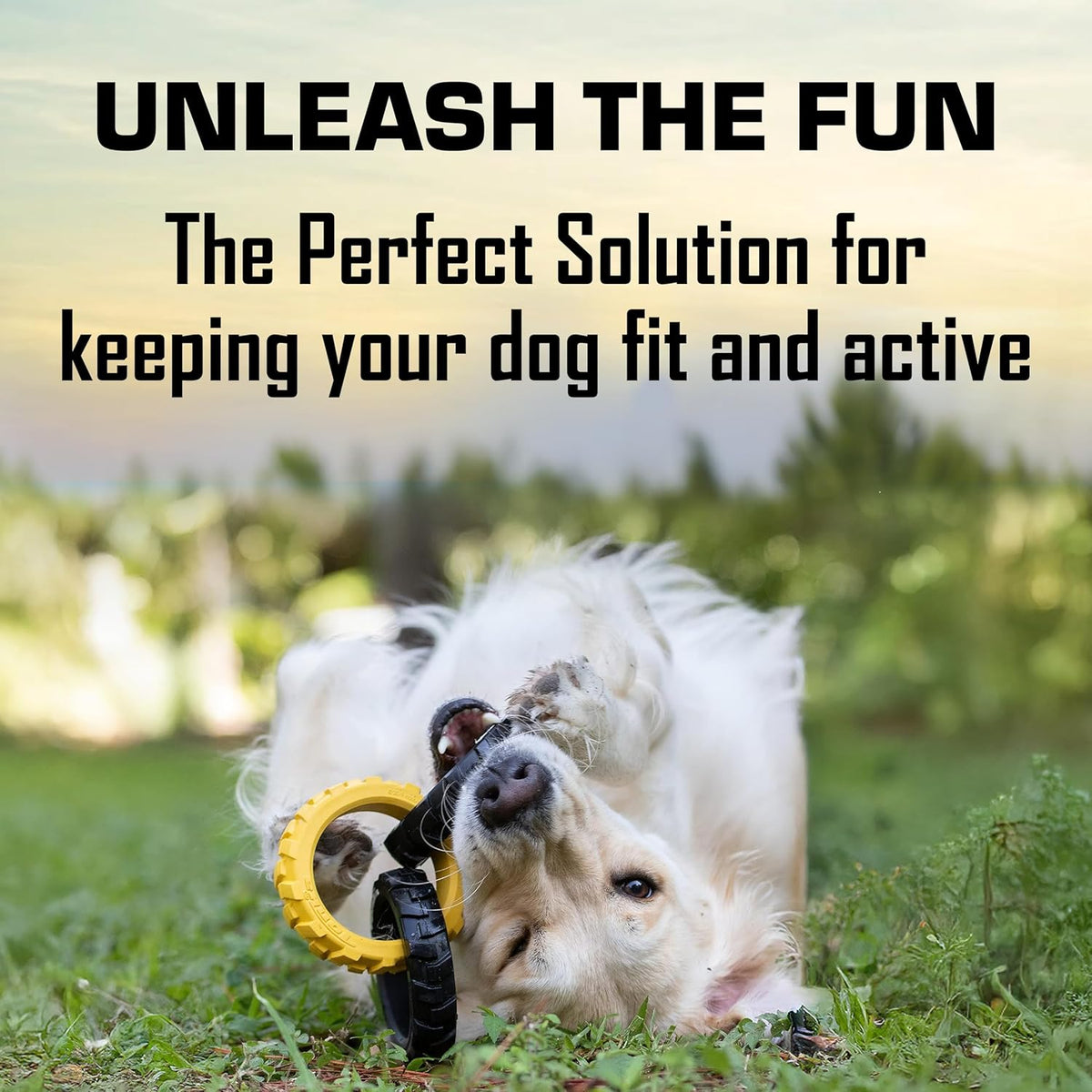 Durable rubber dog tug of war toy optimized for medium and large breeds.