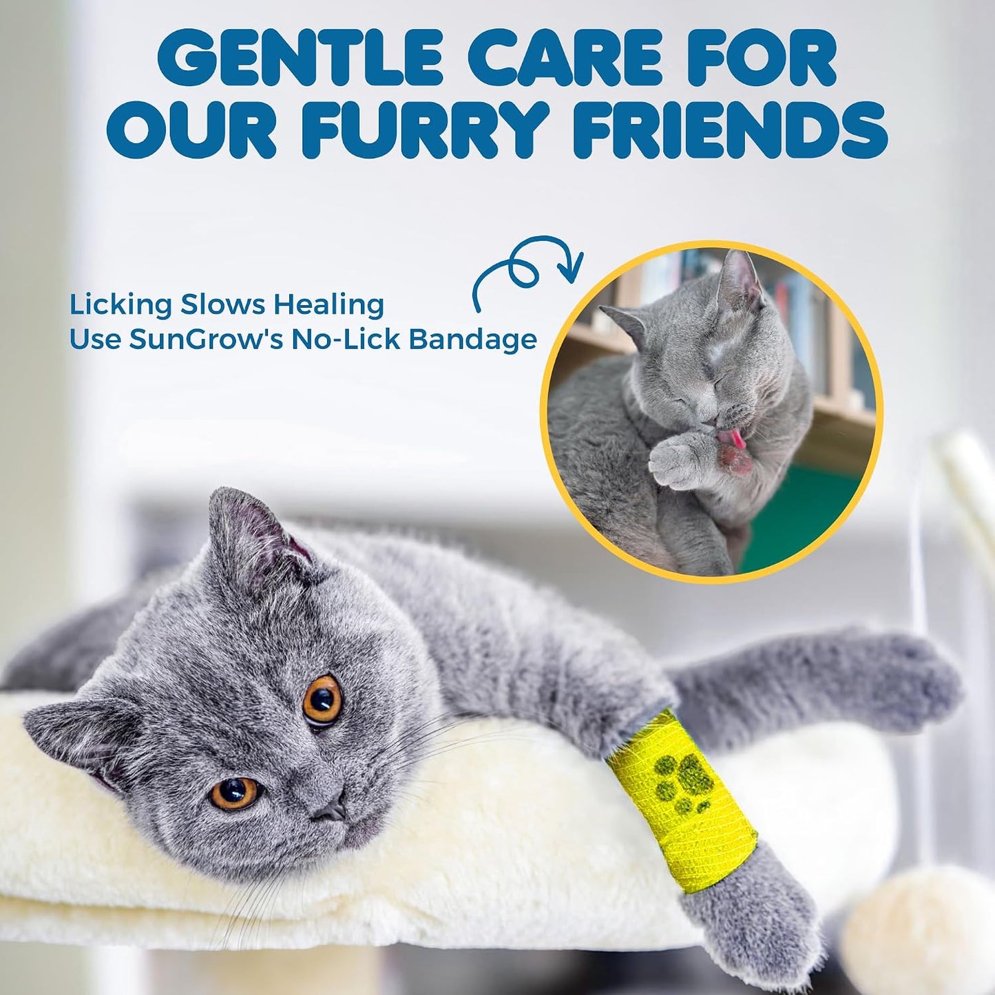 SunGrow cohesive pet bandage rolls with paw print pattern