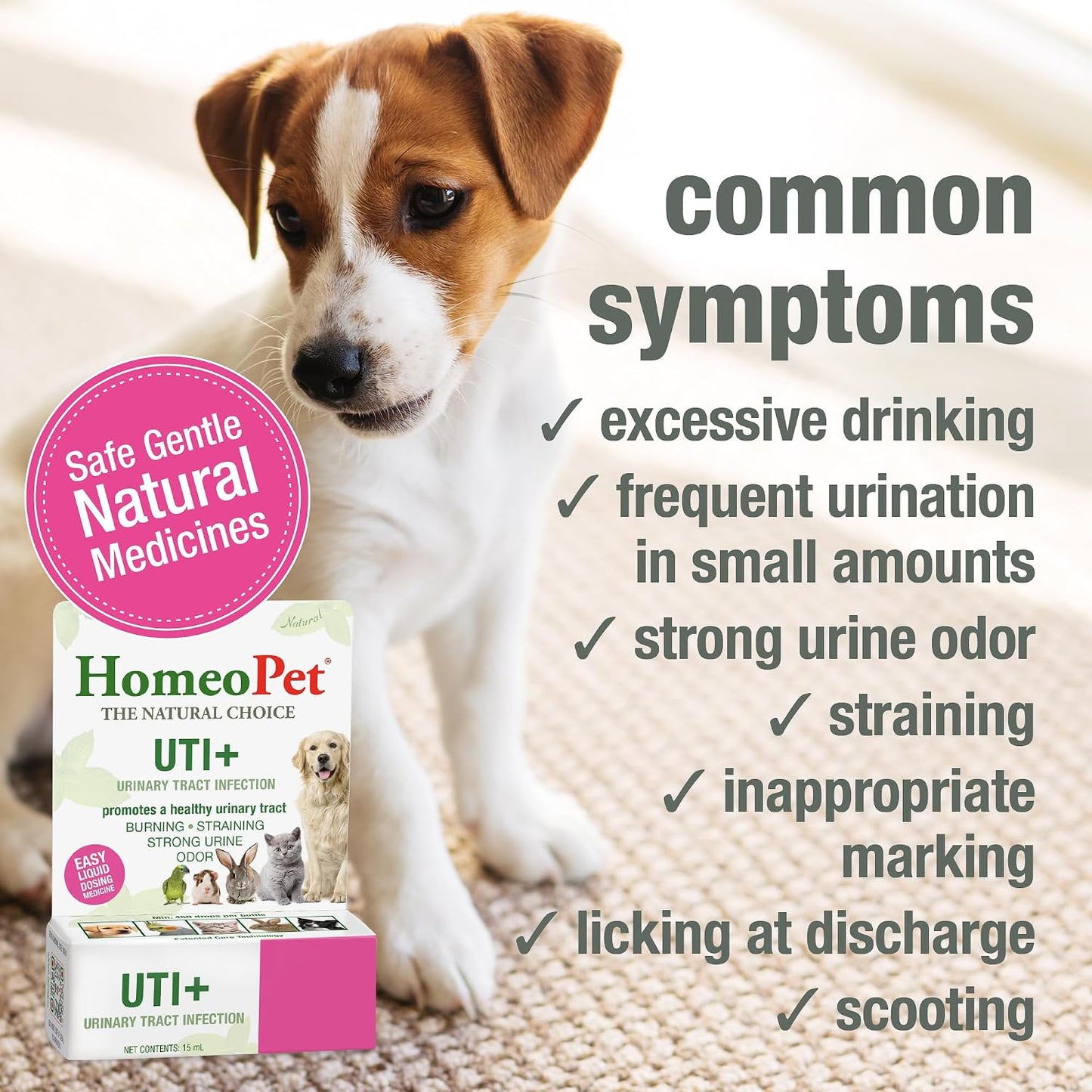 HomeoPet UTI+ for dogs and cats liquid supplement packaging