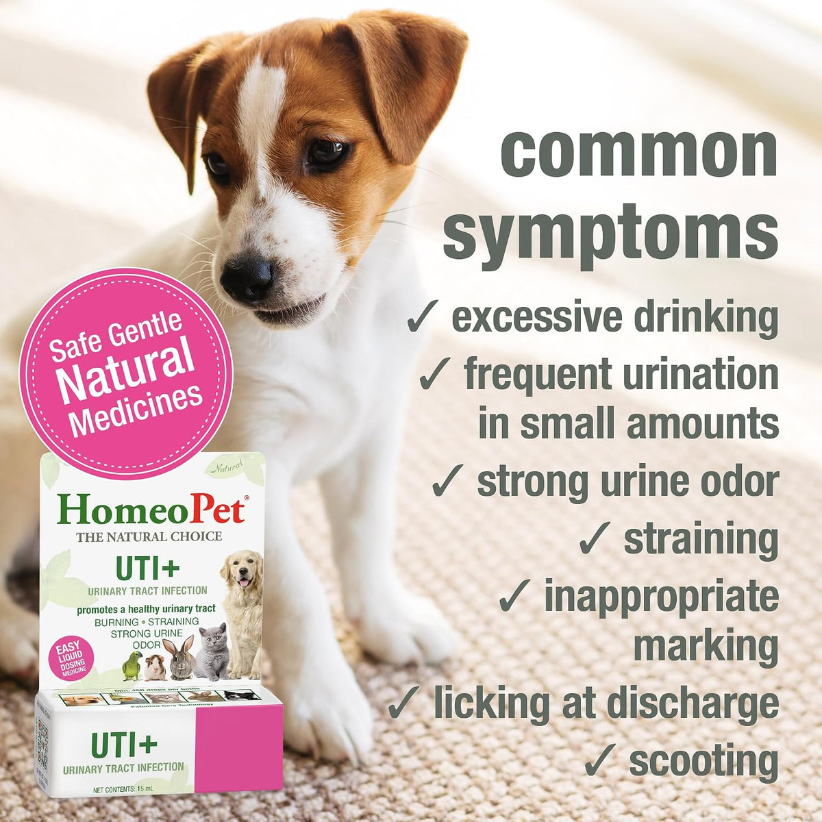 HomeoPet UTI+ for dogs and cats liquid supplement packaging