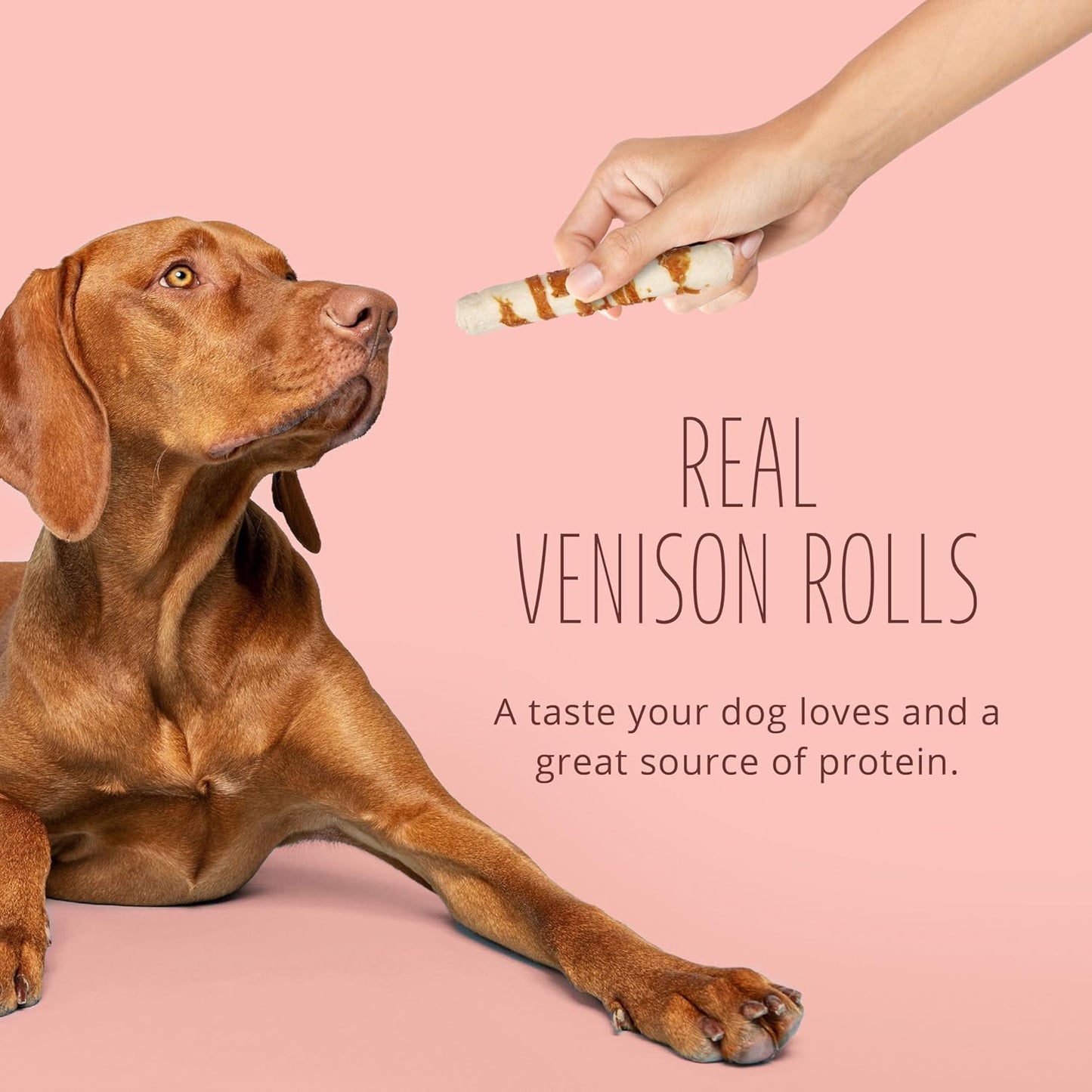 Close up view of the breakdown of rawhide fibers on Better Belly premium dog chews