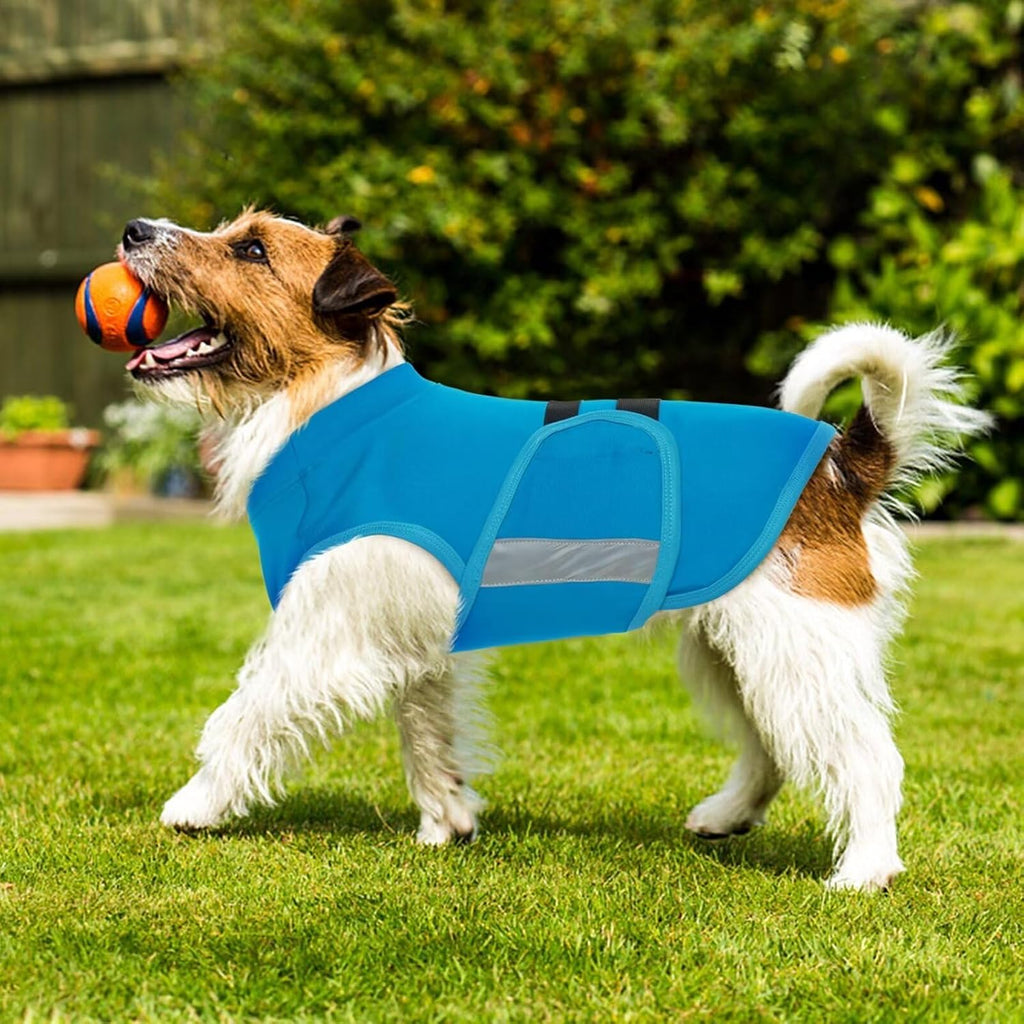 Detailed view of hook and loop fasteners on Migohi dog vest