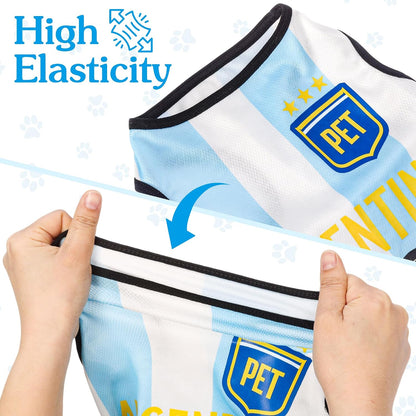 Back view of dog soccer jersey showing number 10 and team crest