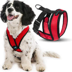 Gooby Comfort X Head in Harness - Pink, Small Harness Patented Choke-Free X Frame - Perfect on The Go Harness for Medium Dogs No Pull or Small Dogs for Indoor and Outdoor Use - Image 14