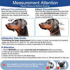 Premium imported dog training halter with cushioned nose band