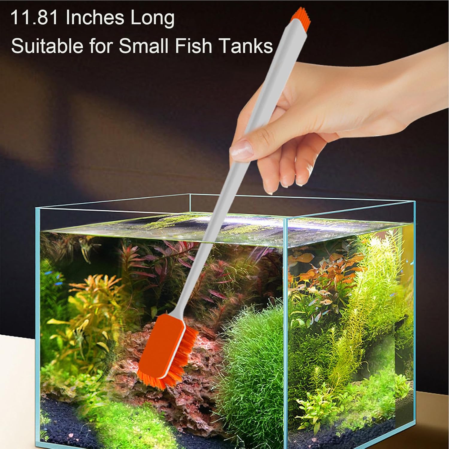 Vimvins aquarium scraper tool demonstrating scratch free cleaning on acrylic glass