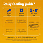 Pedigree wet dog food pouches for puppy brain and bone development