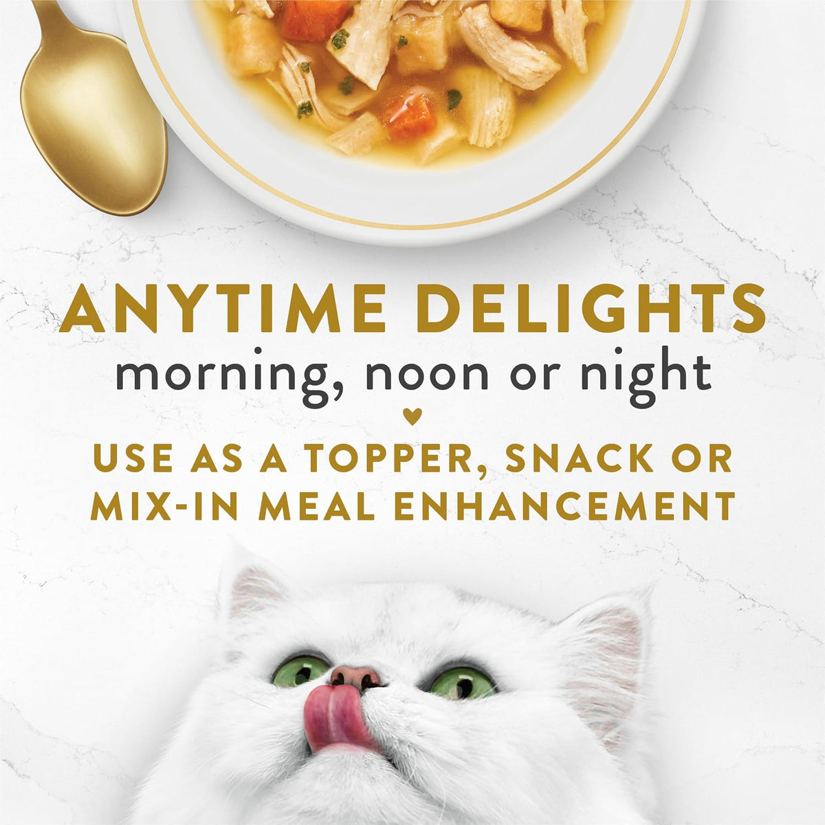 Adult cat enjoying gourmet broth meal complement