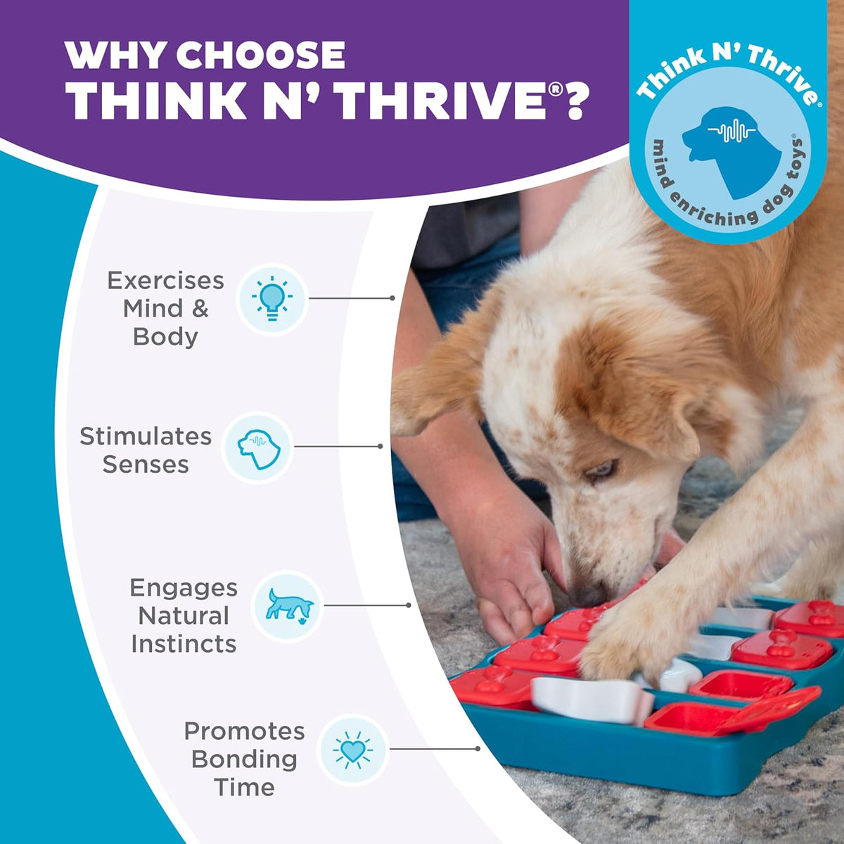 Premium USA imported mental stimulation dog toy for boredom relief