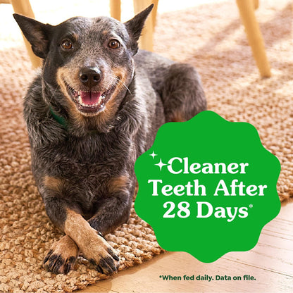 Greenies twenty four count value pack dental bones close up