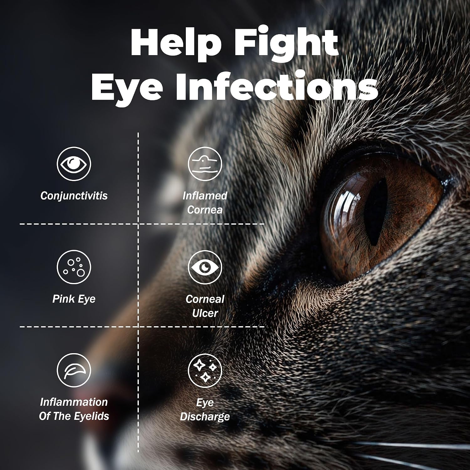 DURVMED ophthalmic ointment double pack for cats and dogs.