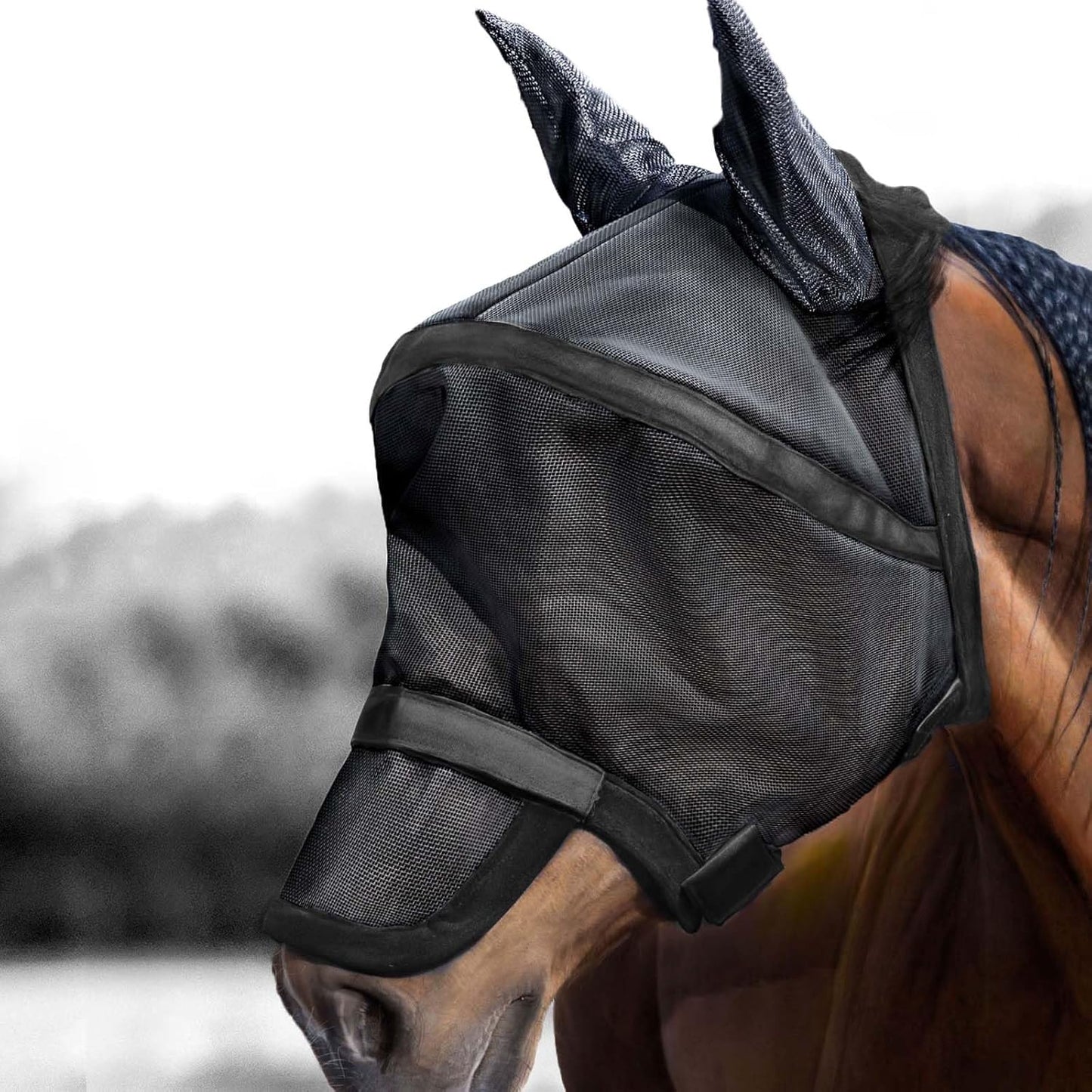 Interior view of horse fly mask showing UV protection mesh