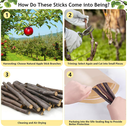 Untreated apple wood branches displaying a variety of stick sizes for pets