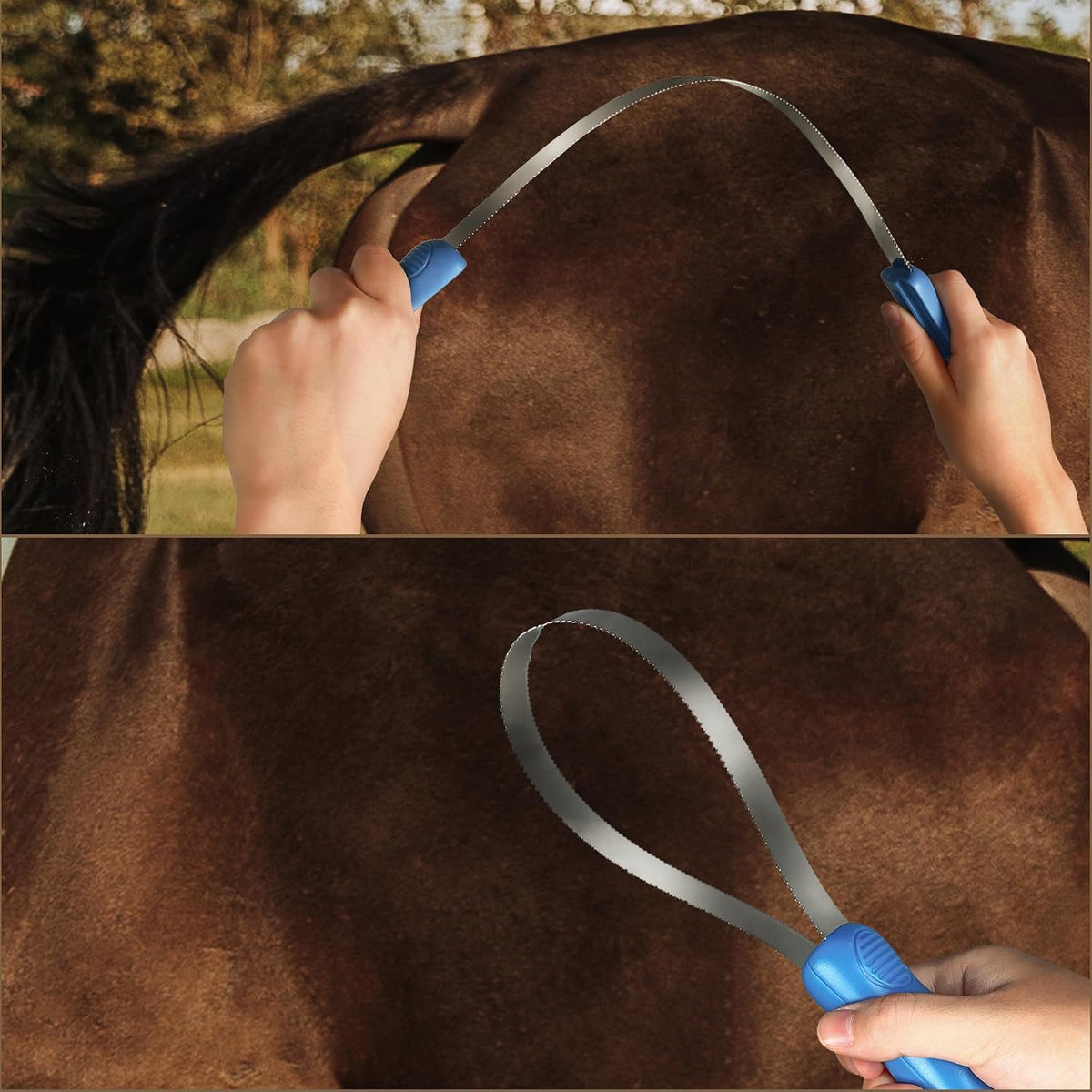 Professional grooming tool for dogs and livestock