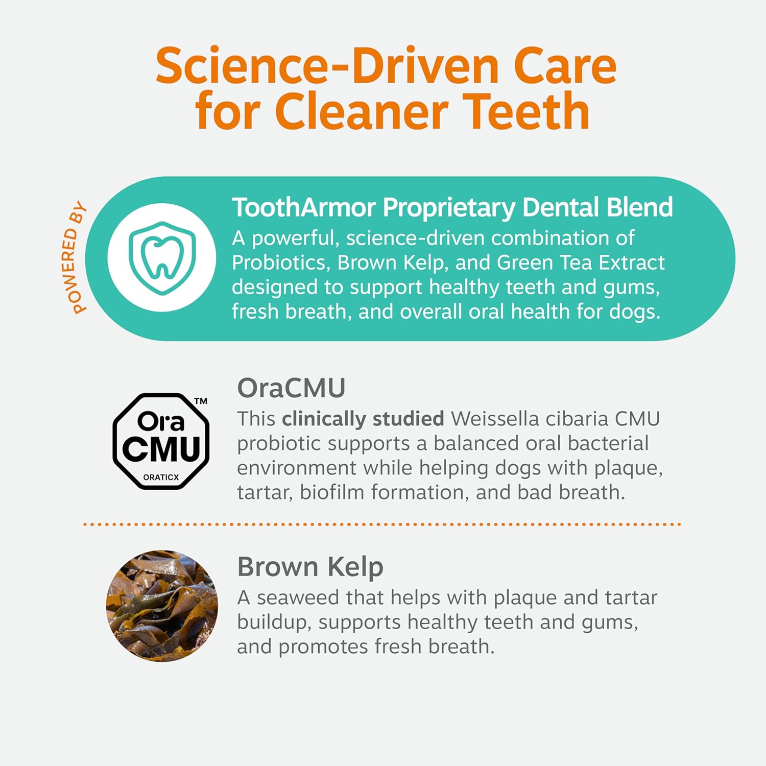 Zesty Paws canine oral care powder ingredient list on back label