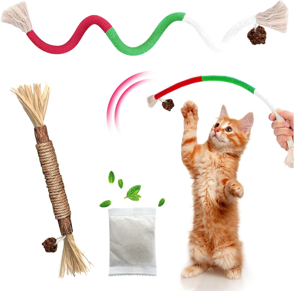 Gbsyu cat toy set components layout for dental care