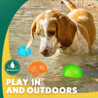 Puptily natural rubber dog balls for oral health