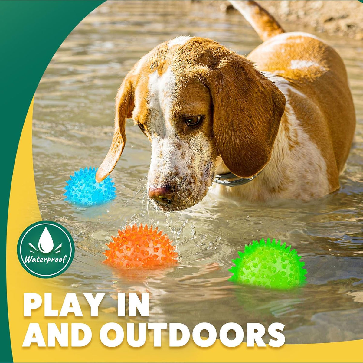 Puptily natural rubber dog balls for oral health