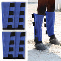 Wizbrio premium horse fly boots front view on horse legs in royal blue