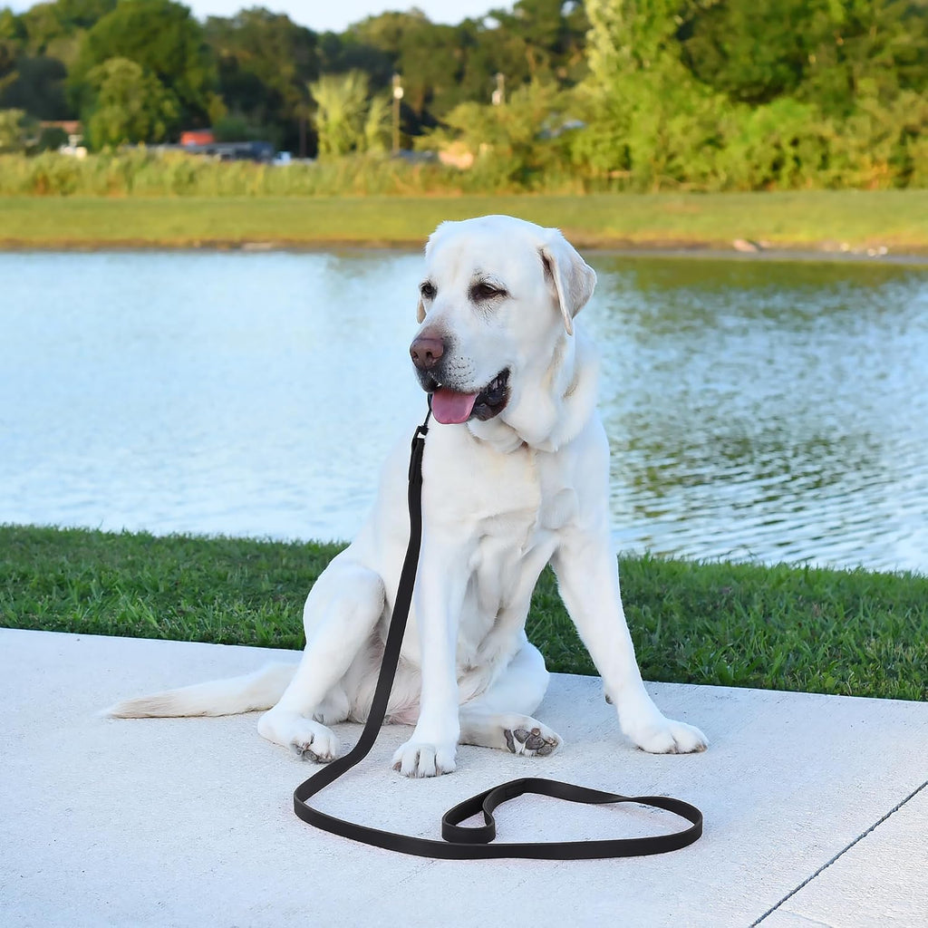 Dogline Biothane leash clean and dry after water exposure