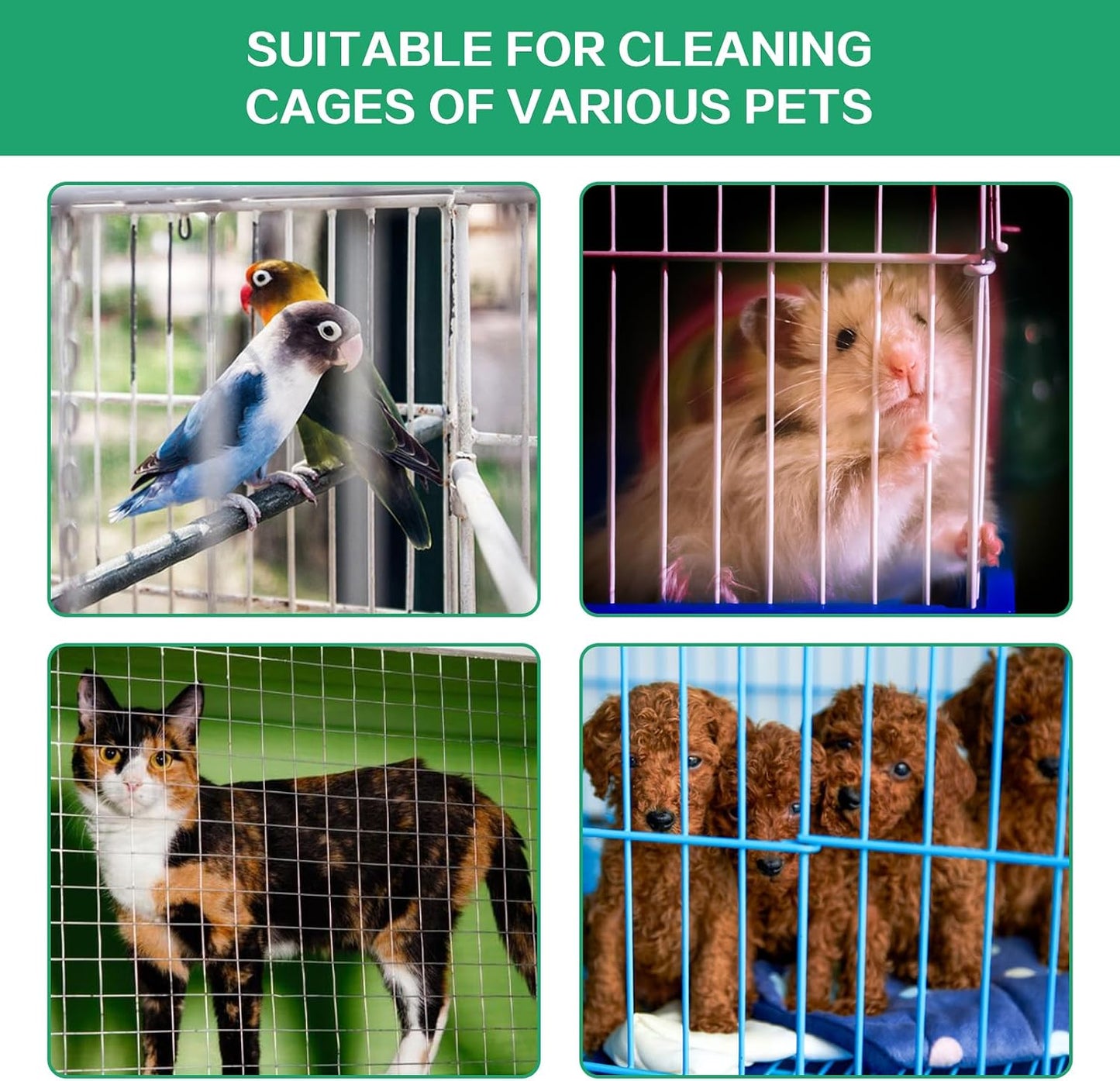 DINTSTYLE pet cage grooming tools showcasing ergonomic handles and durable bristles