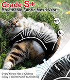 Kaazylab kitten harness showing quick release safety buckles.