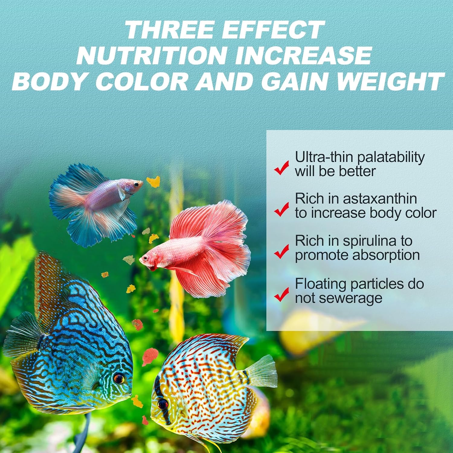 Clean water formula fish food to prevent tank clouding