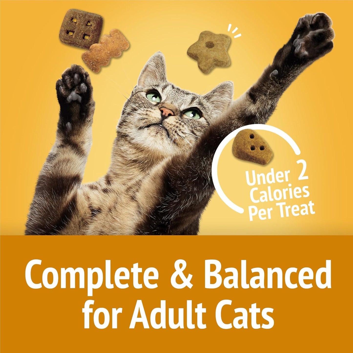 Friskies Party Mix Cheezy Craze crunch snacks container size comparison for pet owners