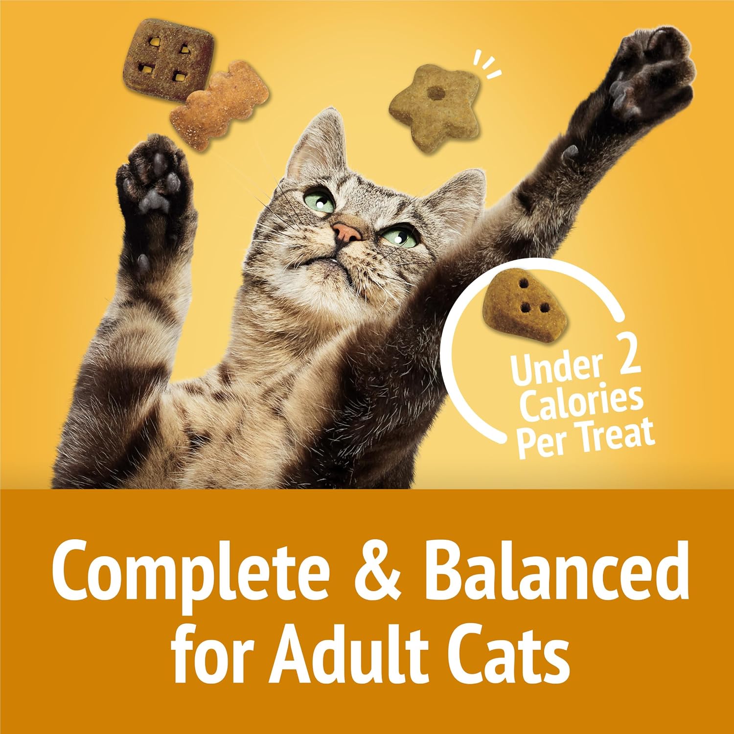 Friskies Party Mix Cheezy Craze crunch snacks container size comparison for pet owners