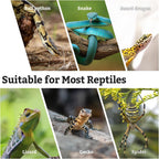 VCEPJH four pieces natural cork bark kit imported for Indian reptile hobbyists.