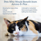 Rx Vitamins Amino B Plex bottle with dropper for pets