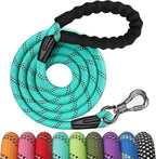 NTR 30FT Puppy Leash, Nylon Rope Long Dog Leash with Swivel Lockable Hook and Comfortable Padded Handle, Dog Line Tether for Small Medium Large Dogs Training, Playing, Camping, or Backyard - Image 14