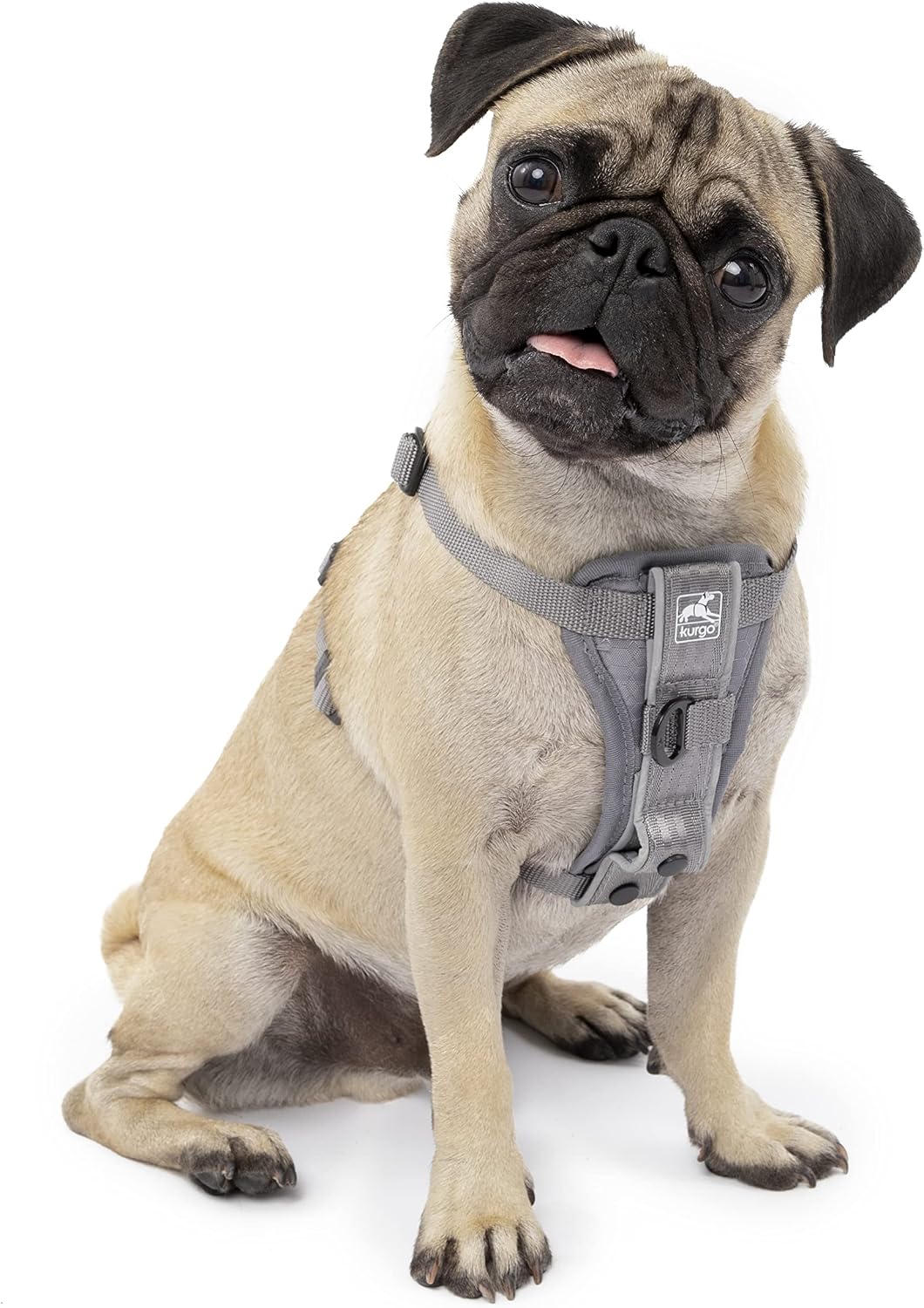 Kurgo harness showing front D-ring for training