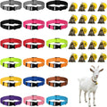 IMengjbang adjustable goat collar pack front view showcasing vibrant multicolor nylon straps with copper bells
