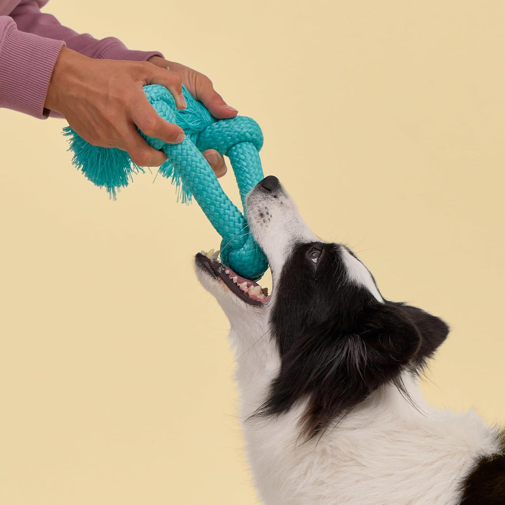 Close-up of the slobber-wicking material on the Playology Dri-Tech heavy chewer tug toy.