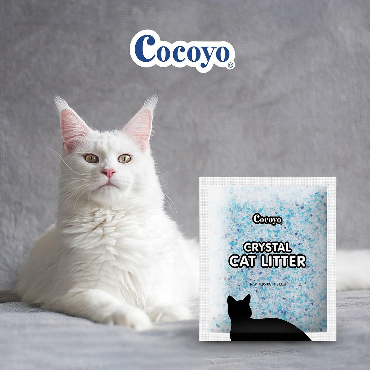 Cocoyo silica gel cat litter crystals close up view