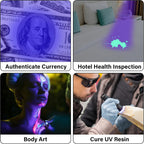 Authentic imported USA pet stain detector flashlight showing the fifty one premium LED bulbs.