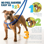 2 Hounds Design Freedom No Pull Dog Harness side profile displaying medium size straps