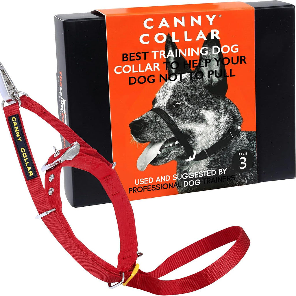 Canny No Pull Dog Training Head Collar in red color front view on a trained dog.