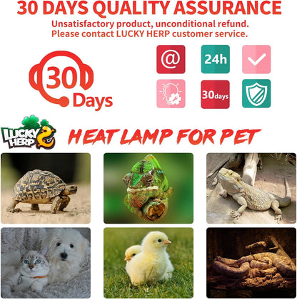 Lucky Herp 100 Watt amphibian and snake vivarium heat bulb close up view