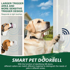 Dog pressing wireless doorbell button at outdoor entrance