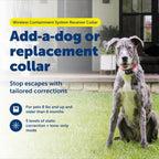 Waterproof extra pet fence collar for dogs and cats adjustable strap