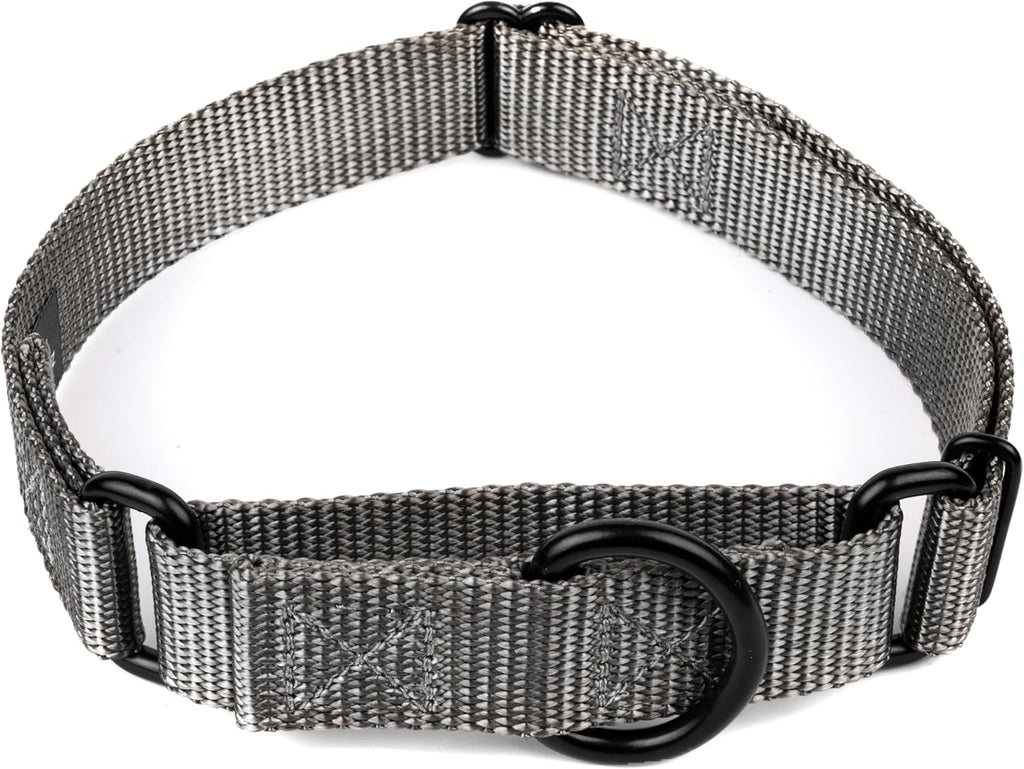 Country Brook Petz - Martingale Dog Collar - Heavy-Duty Training Collar with No Buckle - Service Dog Collar for All Pups - 20 Vibrant Colors (Lavender, 1 Inch, Medium) - Image 11