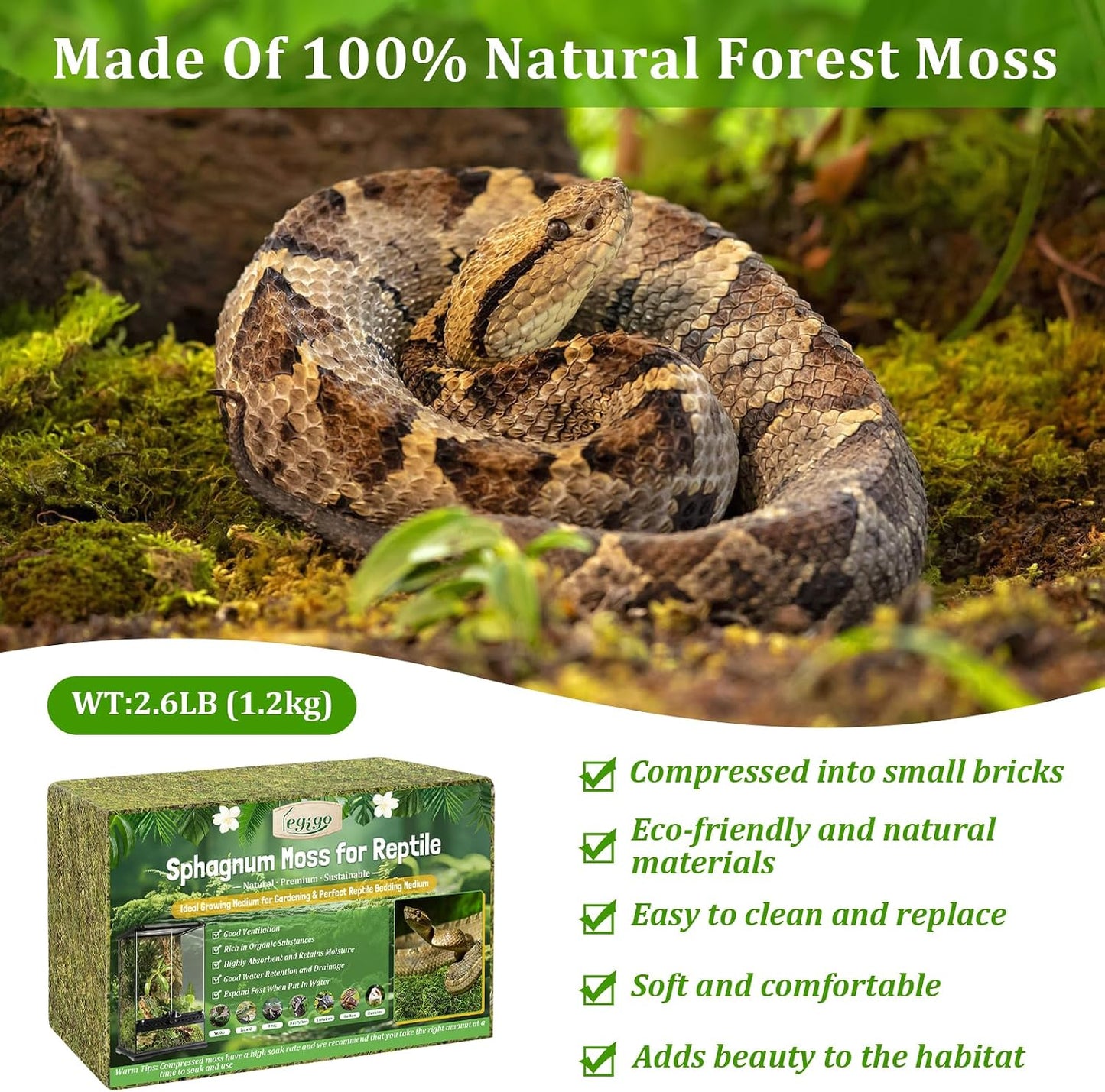 Hydrated and expanded Legigo reptile bedding inside a snake enclosure