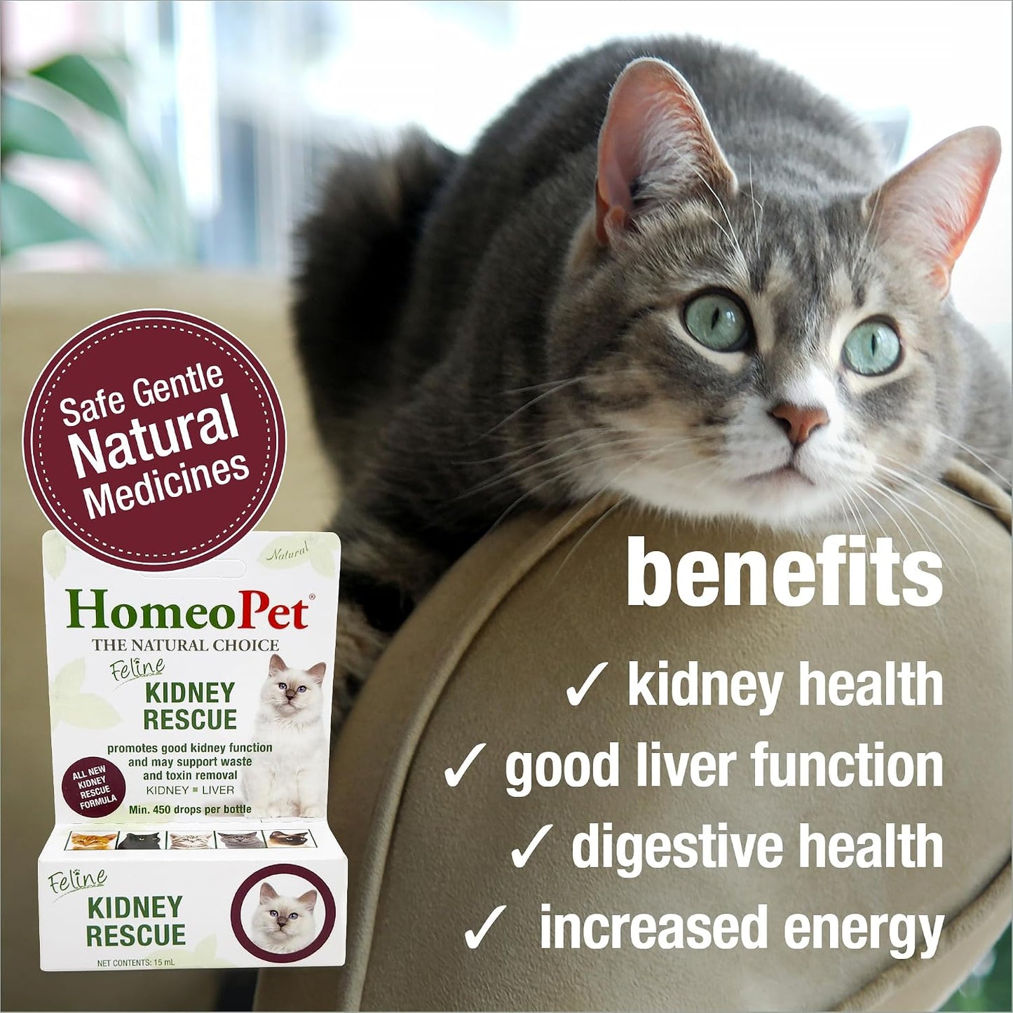 HomeoPet Feline Kidney Rescue homeopathic liquid drops bottle with dropper cap