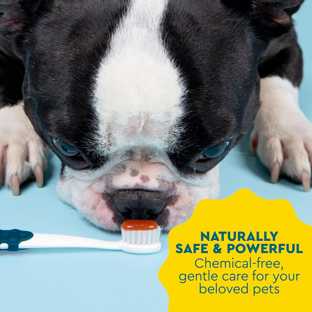 Back of pack details for Radius canine dental care