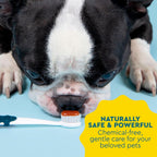 Back of pack details for Radius canine dental care
