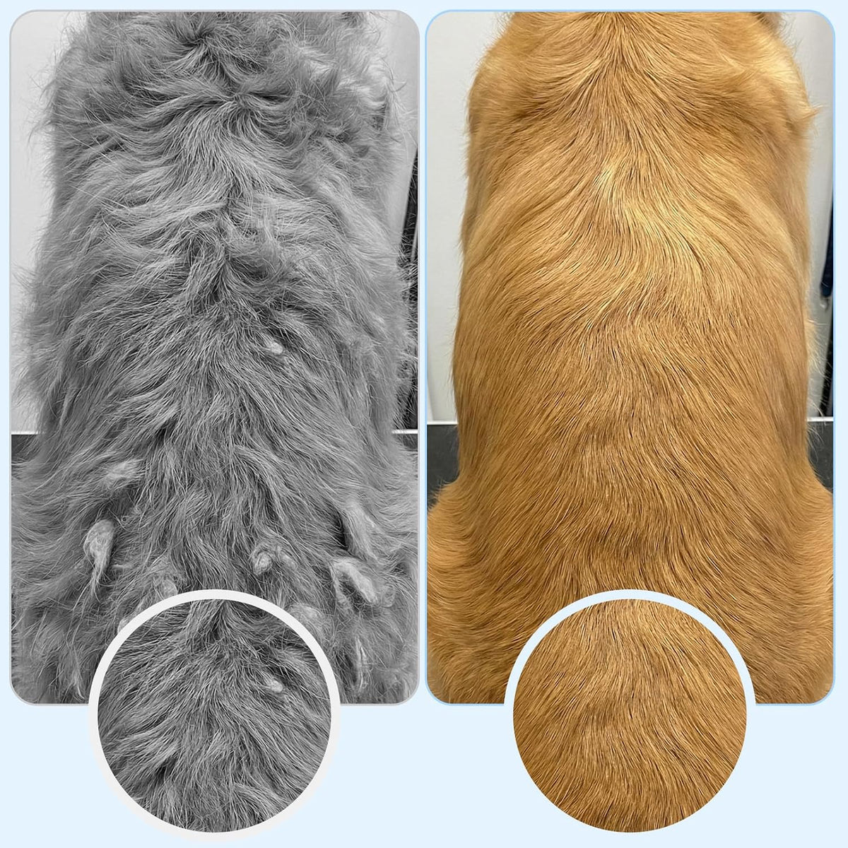 Rust proof metal teeth of the Psiriol cat and dog comb designed for safe pest and nit removal.